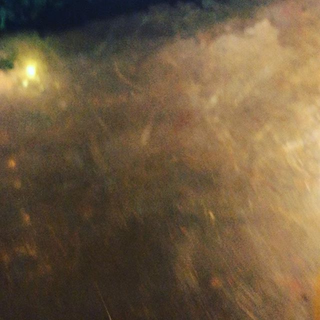 view Sala & Betty on instagram